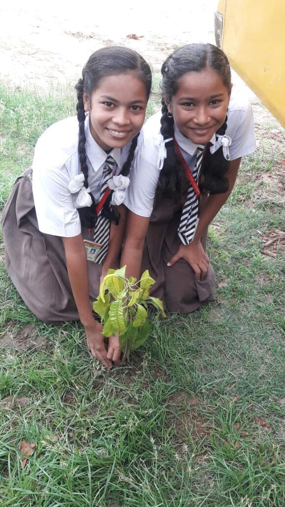 Planting today for a greener tomorrow